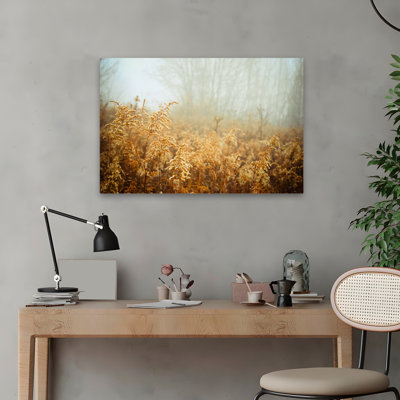 Landscape, Nature, Plants, Flowers, Wildflowers In Fog Wall Art