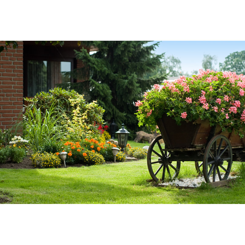 Garden by DZM - Wrapped Canvas Print, 30cm H x 46cm W
