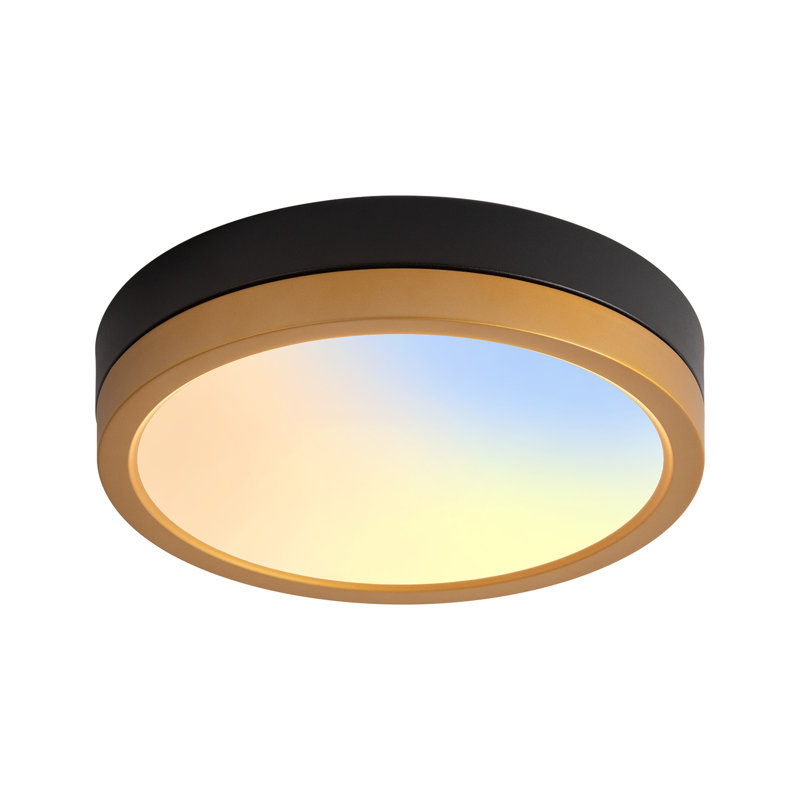 12" Modern Dimmable LED Flush Mount Lighting 3000K/4000K/5000K Adjustable