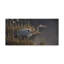 «Stalking The Edge Heron» par Berrien, impression sur toile tendue-27643756