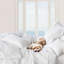 Essential Sateen Sham-824090317-824090310