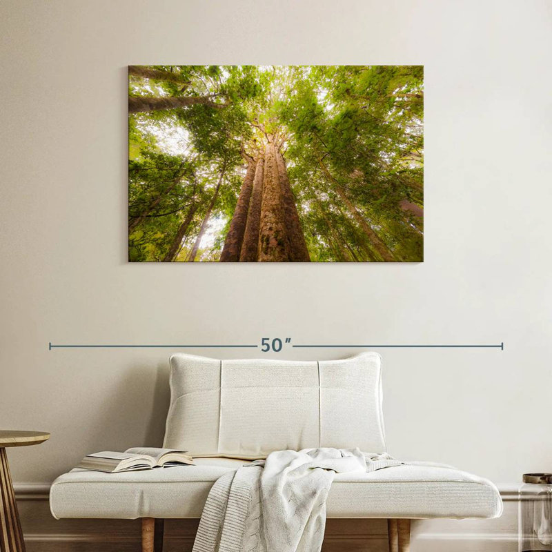 Harnek Waipoua Kauri Trees, 26" H x 39" W
