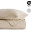 Ensemble de courtepointe 100% coton à motif cachemire 3 pièces-116732164-124488312