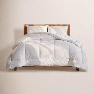  All Season Polyester Down Alternative Comforter/Duvet Insert