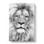 Lion Portrait - Wrapped Canvas-56643164