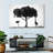 Harnek Acacia Tree-107676918