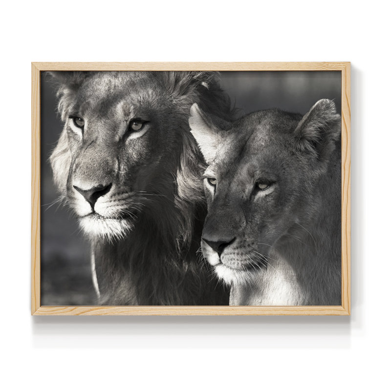 Lion and Lioness -Framed Print - Restickable, Natural, 11" H x 14" W