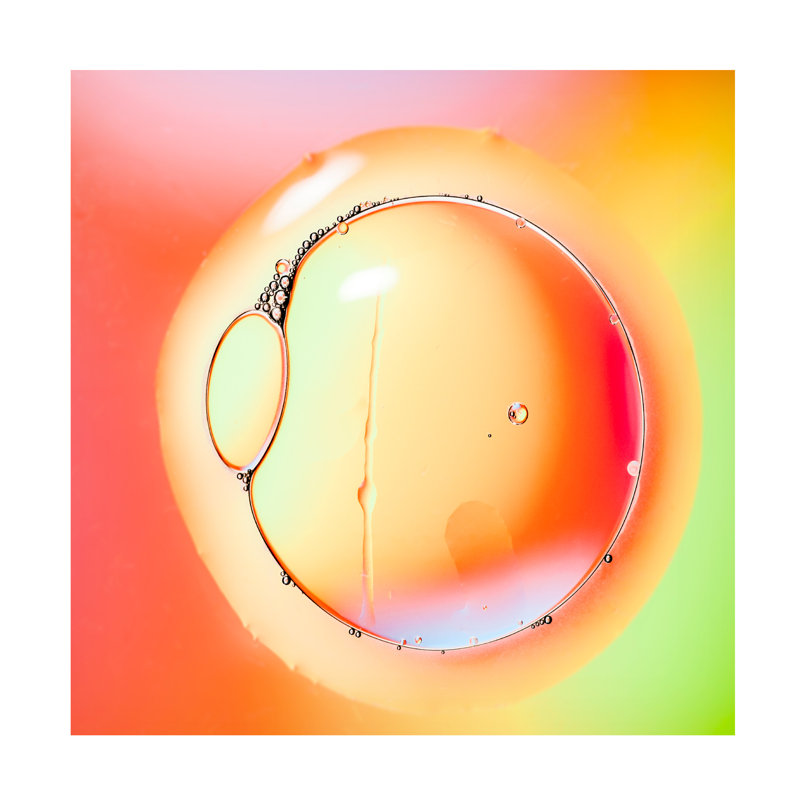 Art sur toile Alessandro Zocchi, H 14 po x l 14 po