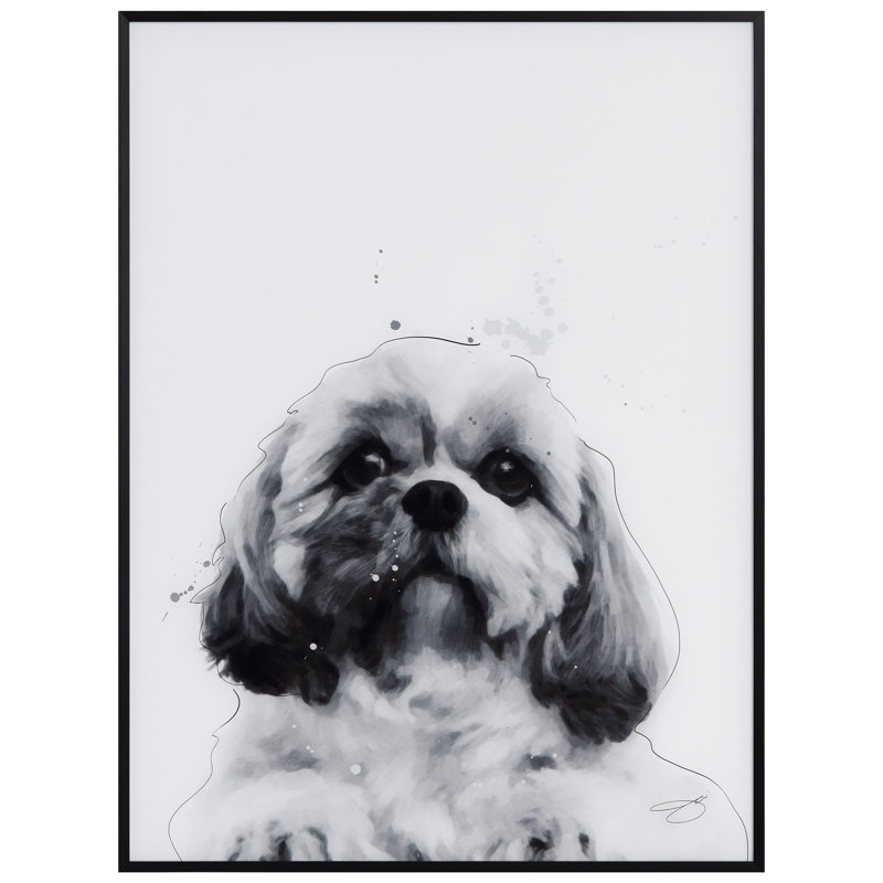 " Shih-Tzu " by Jodi P.