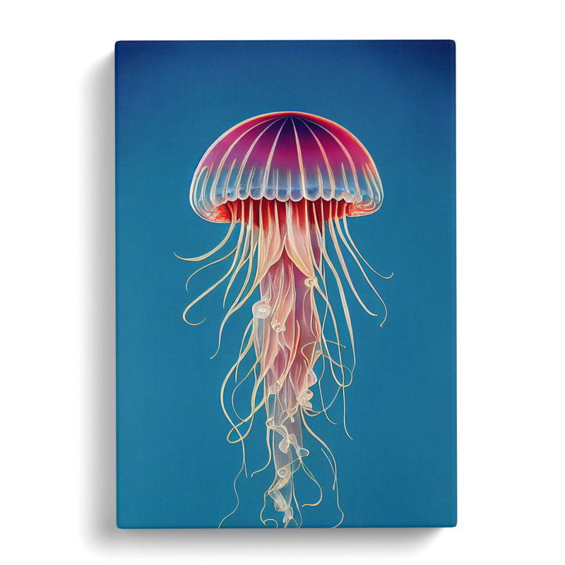 Allmon Jellyfish Vol.1 - Wrapped Canvas, 76cm H x 50cm W x 3cm D
