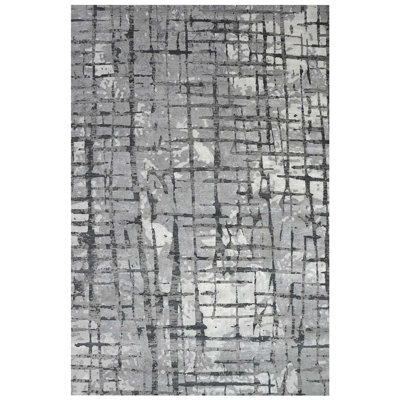 Windsom Abstract Area Rug in Sliver/Charcoal