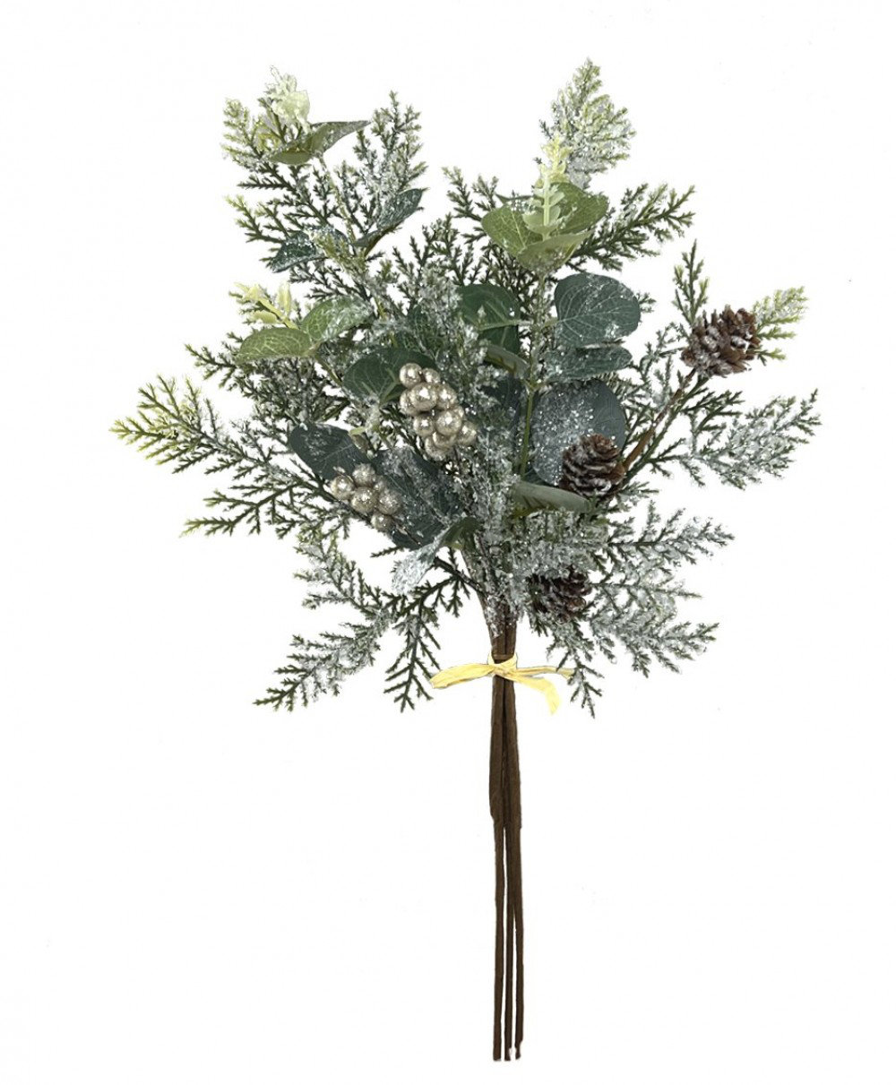 Ebern Designs Cèdre, baies et pommes de pin pulvérisent des plantes et — free download