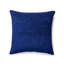 Meander Square Indoor/Outdoor Pillow Cover & Insert-67069866