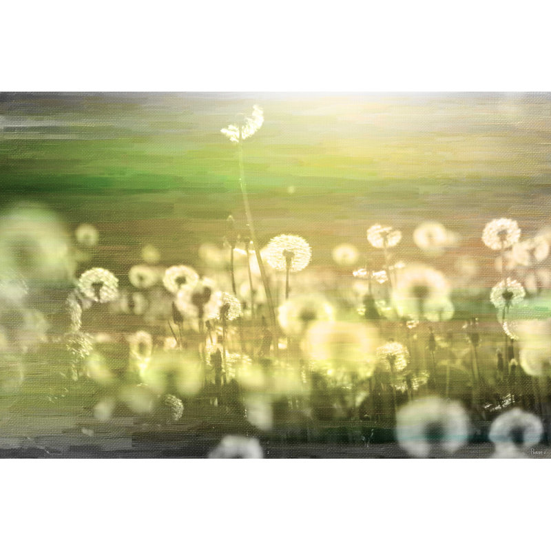 Parvez Taj - Wrapped Canvas Print, 51cm H x 76cm W