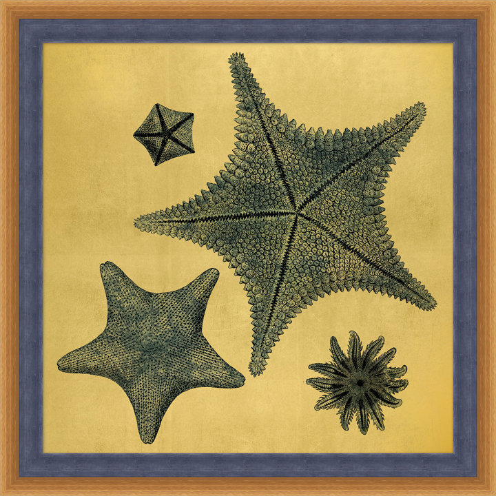 Gold Leaf Starfish 1 Print