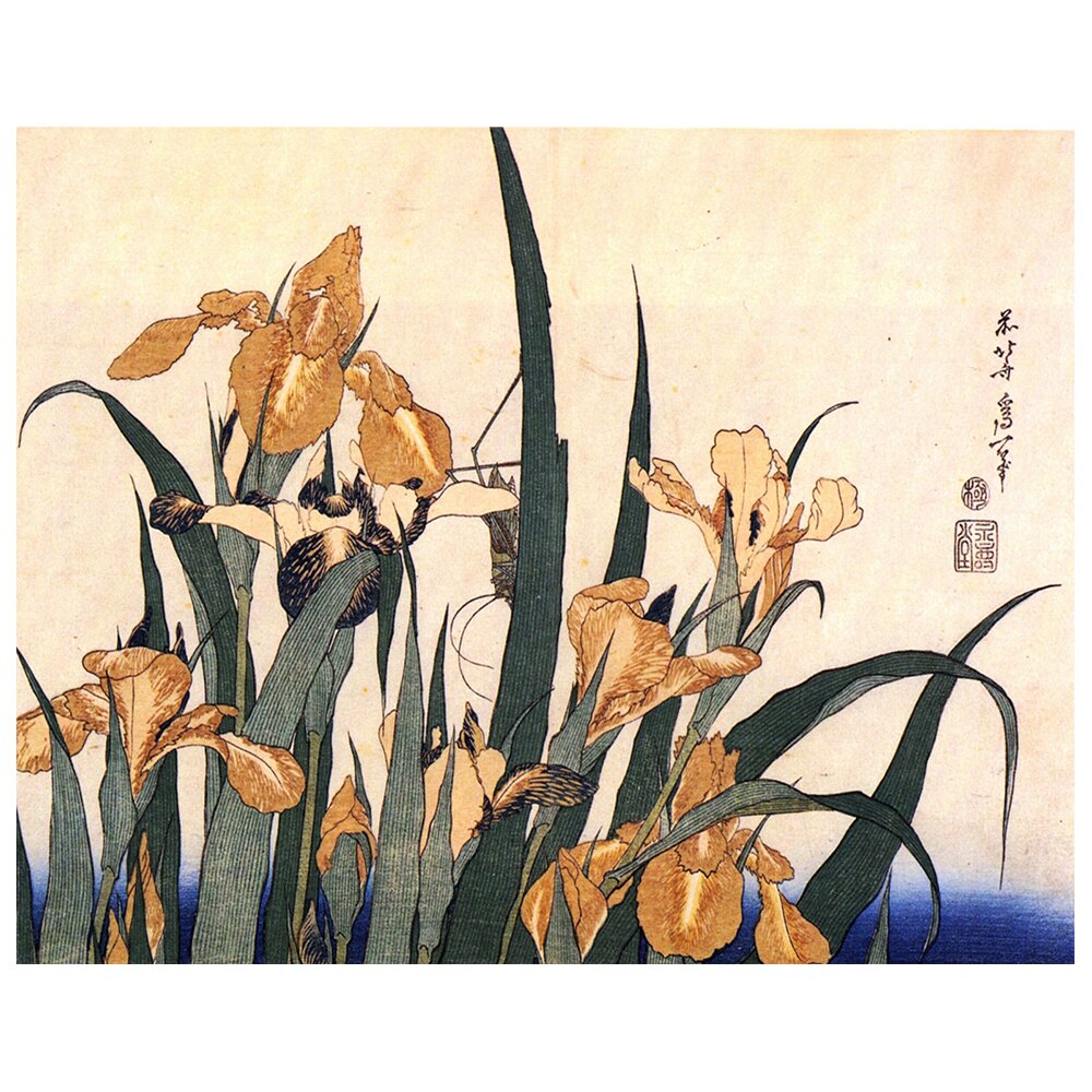 Leinwandbild Irises and Grasshopper von Katsushika Hokusai