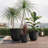 Lightweight  Planter Set Of 3-1179822652