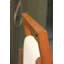 Double Floor Mounted Towel Stand