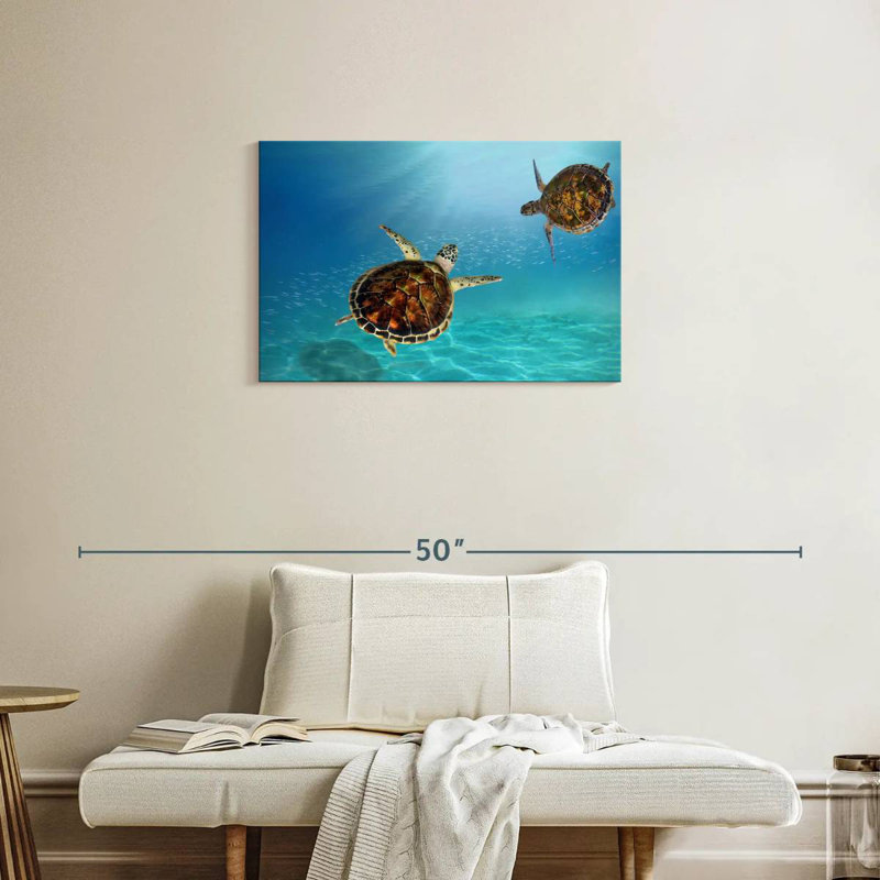 Tortues imbriquées sous l'eau, H 20 po x l 30 po