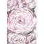 Wrapped Canvas Painting-34311802