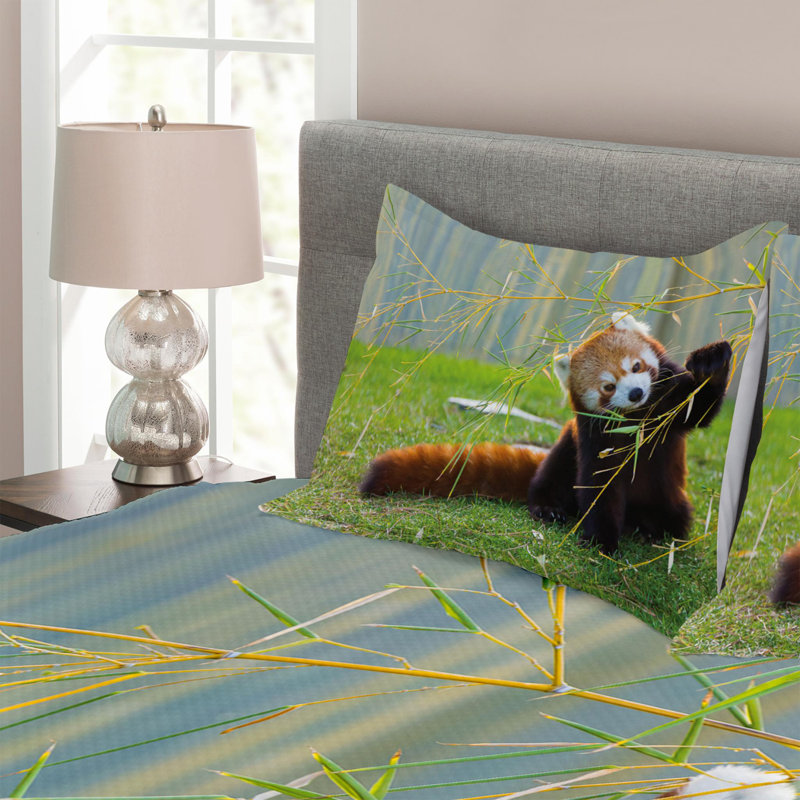 Eclectic Polyester Coverlet, Queen Coverlet + 2 Shams