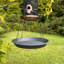 Allonte Hanging Tray Bird Feeder