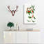Sour Cherries by Giorgio Gallesio - Wrapped Canvas-55318358