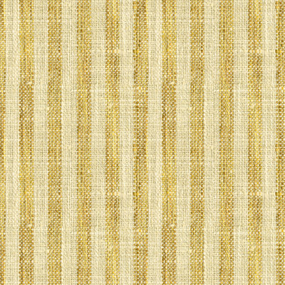 Basics Fabric