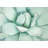 Succulent Closeup - Neo Mint Botanical Framed Canvas Decor
