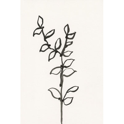 Encre, croquis botanique X