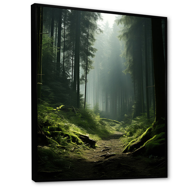 «Deep Into The Forest» - art mural forêt, Cadre flottant noir, H 40 po x l 30 po x P 1,5 po