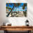 Lynelle Beach Path-108818884