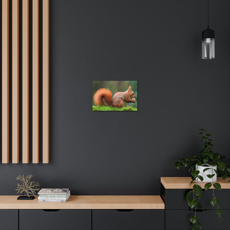 Écureuil, chasse, écureuil, chasse, reproduction, art mural, H 12 po x l 18 po
