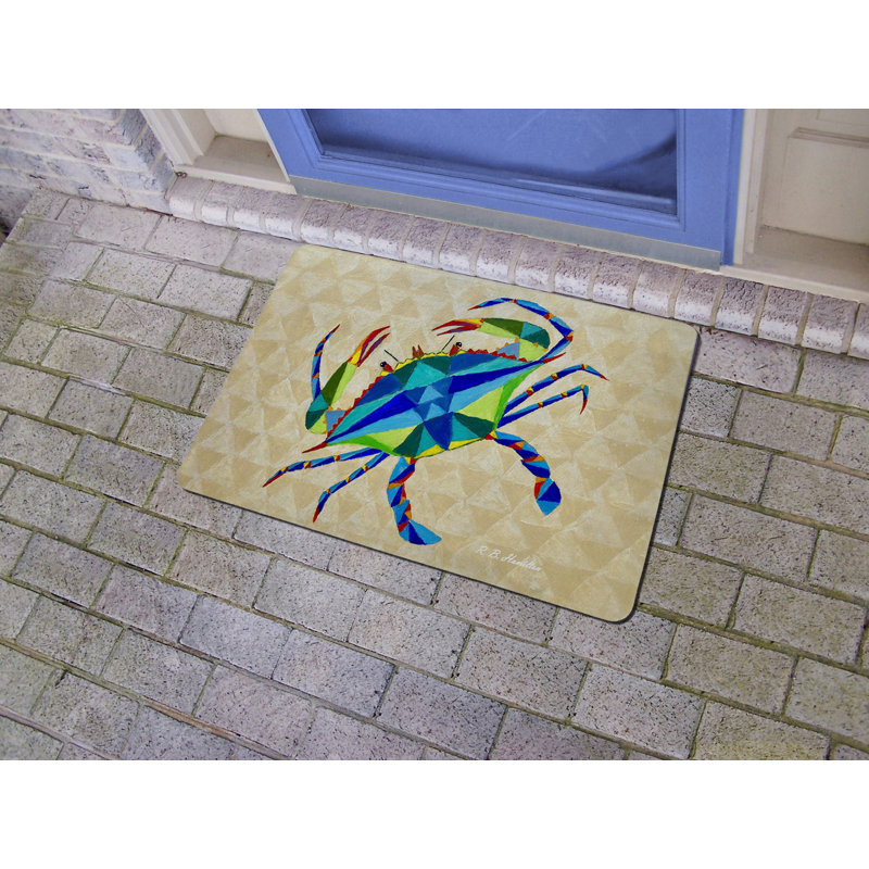 Nesika Non-Slip Doormat, 18" W x 26" L