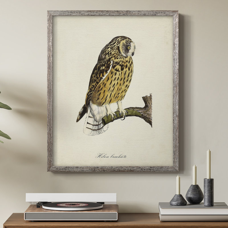 «French Owls II», reproduction encadrée - bois massif, H 11 po x l 9 po