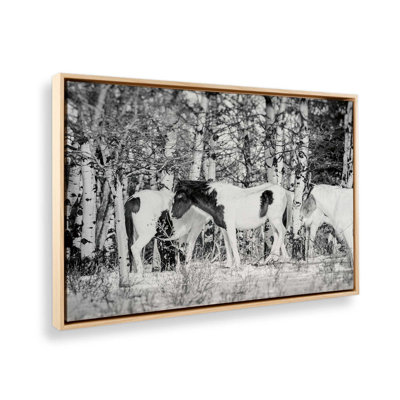 Winter Herd by Nathan Larson Canvas Art Print