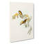 Plumed Honeyeaters by Elizabeth Gould - Wall Art-433442834-433442919