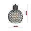 Danner 4 - Light Cluster Globe Pendant