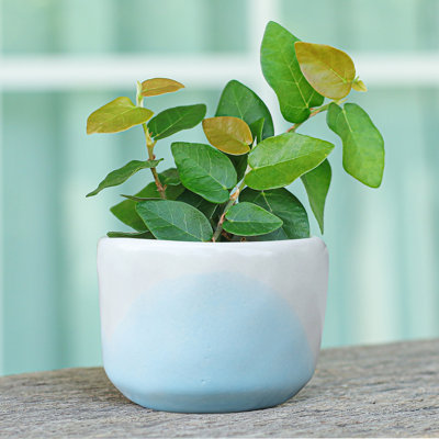 Kyrre Handmade Ceramic Pot Planter