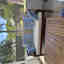 Photos des clients 2 de 2