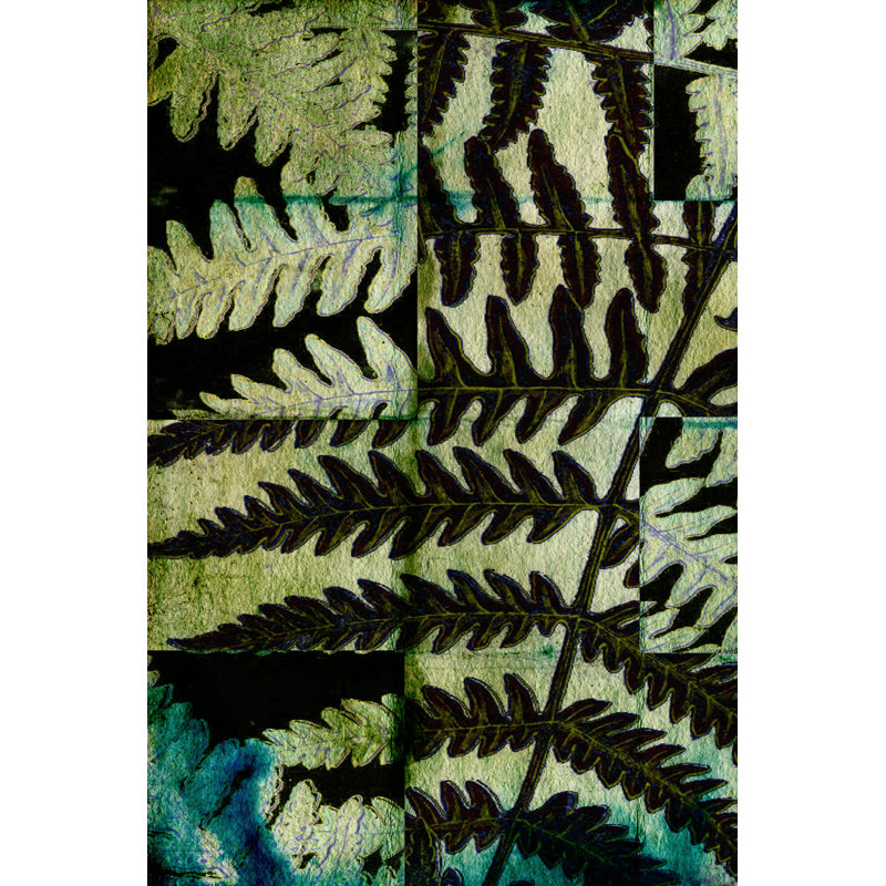 Midnight Ferns II - Wrapped Canvas Print, 46cm H x 30cm W x 3.8cm D