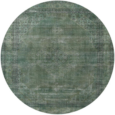 Ciann Oriental Indoor Rug