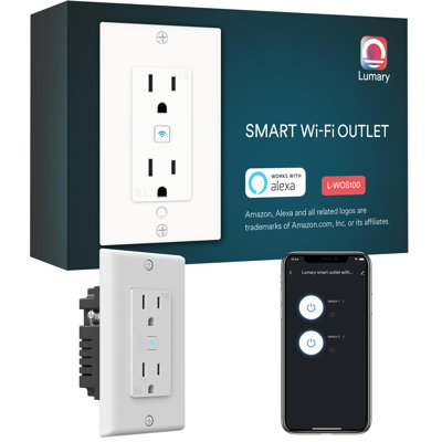 Lumary Standard Electrical Outlet, Smart in Wall Outlet Work with Alexa Google Home ETL FCC Certified 2.4G WiFi with Screws(1 Pack)