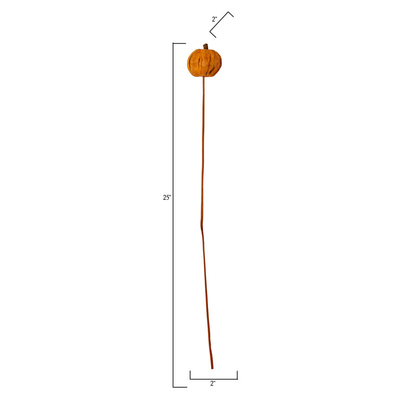 Citrouille Panna orange sur tige