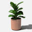 Pot à fleurs rond Demi Series-83894852-86823200-109575135
