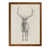 Maple Framed Canvas is unavailable
