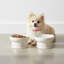 10 bols pour animaux 10 Strawberry Street-126427751