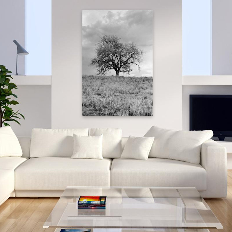 Coastal Oak Series No. 26 - Paysages, photographie, arbres, art, H 48 po x l 32 po