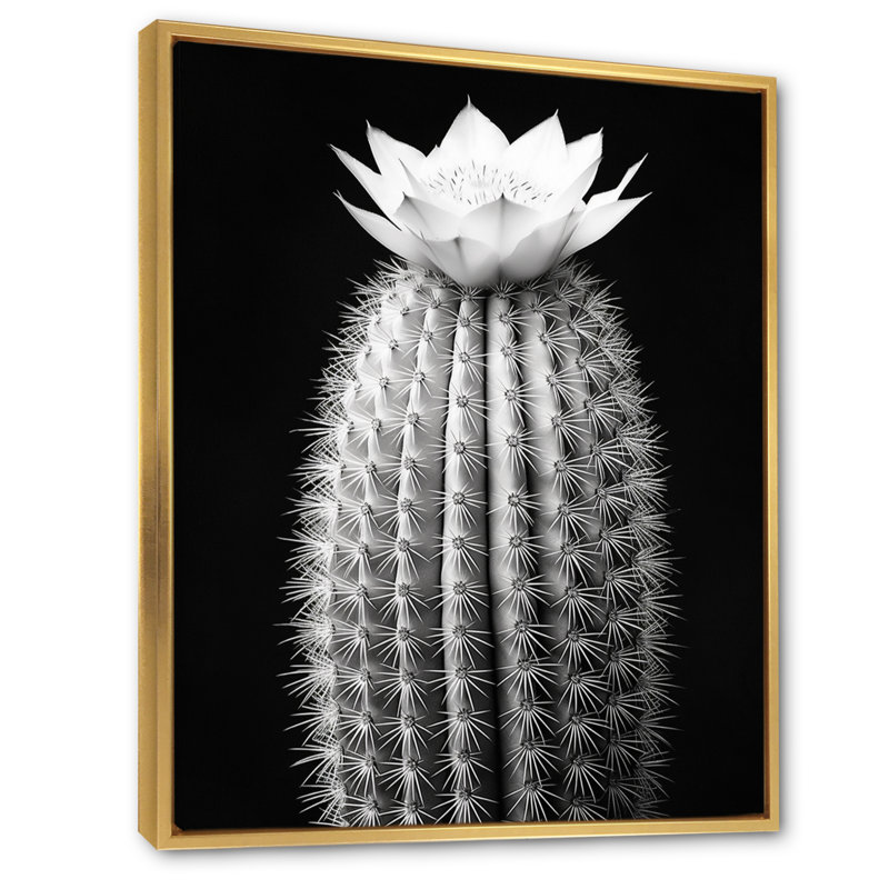 Cactus gris élégant en monochrome I - impressions sur toile florales et botaniques, H 20 po x l 12 po x P 1 po