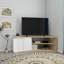 TV Stand with Shelves and Cabinet Dion-1012161710